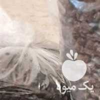 آگهی مشابه فروش مویز پاک شده بش کوهی  شیره انگور بش در شیراز در گروه عسل شیره و فرآورده ی مربا - طبیعی گون کوهی آویشن در یکمیوه