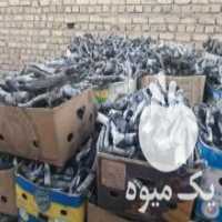 آگهی مشابه فروش زغال سفید پسته در رفسنجان در گروه خرید فروش عمده چوب- زغال چوب گردو تبریزی خام در یکمیوه