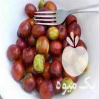 آگهی مشابه فروش نهال عناب خاف خرمایی در ساری در گروه خرید فروش نهال - انواع گردو پسته بادام سلطانی انگور در یکمیوه