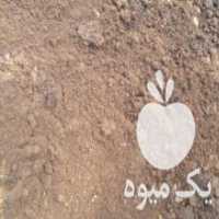 آگهی مشابه فروش کود کمپوست حشرات ارگانیک با تاییدیه آزمایشگاه در شیراز در گروه خرید فروش کود و مواد شیمیایی - اوره پتاس مرغی کمپوست آهن در یکمیوه