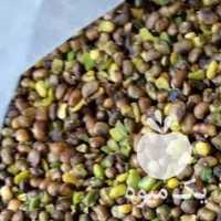 آگهی مشابه فروش مغز بنه پسته کوهی در تهران در گروه پسته - کوهی شامی خام اکبری تازه کله قوچی در یکمیوه