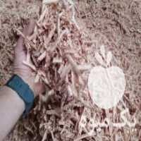 آگهی مشابه فروش پوشال بهداشتی مرغداری در تبریز در گروه خرید فروش عمده چوب- زغال چوب گردو تبریزی خام در یکمیوه