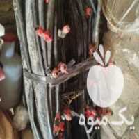 آگهی مشابه فروش لوله نخی چهار اینچ برای قطره ای در بوکان در گروه خرید فروش اتصالات و تجهیزات آبیاری - شیر لوله نوار در یکمیوه