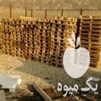 آگهی مشابه خرید و فروش پالت چوبی و جعبه و ساخت جعبه و پالت چوبی در اسلامشهر در گروه خرید و فروش عمده انواع محصولات کشاورزی و دامداری در یکمیوه