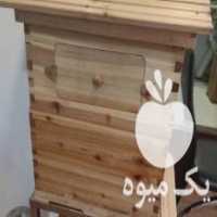 آگهی مشابه فروش کندوعسل مدرن با تکنولوژی جدید در تبریز در گروه خرید فروش عمده چوب- زغال چوب گردو تبریزی خام در یکمیوه