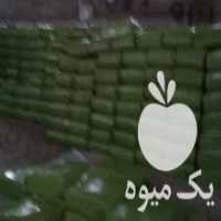 آگهی مشابه فروش ذرت بسته بندی در چهاربرج در گروه خرید فروش عمده ذرت - بلال مکزیکی علوفه دانه کشاورز در یکمیوه