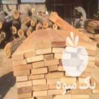 آگهی مشابه فروش تنه ، تخته چوب گردو ، صنوبر ، افرا ، توسکاو  در تهران در گروه خرید فروش عمده چوب- زغال چوب گردو تبریزی خام در یکمیوه