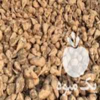 آگهی مشابه فروش چغندر قند در میاندوآب در گروه خرید فروش عمده چغندر - قند لبویی قرمز سفید در یکمیوه