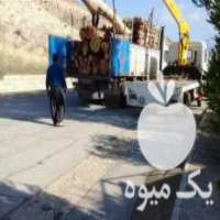 آگهی مشابه مرکزخرید و فروش انواع چوب باغی و جنگلی  ، مرکبات ،    وفروش ذغال در ساری در گروه خرید فروش عمده چوب- زغال چوب گردو تبریزی خام در یکمیوه