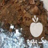 آگهی مشابه فروش 2 تریلی پهن کود گوسفندی در زنجان در گروه خرید فروش کود و مواد شیمیایی - اوره پتاس مرغی کمپوست آهن در یکمیوه