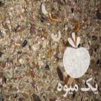 آگهی مشابه فروش کنسانتره آجیلی در تهران در گروه خرید فروش نشا - انواع گوجه برنج کاهو پیاز کاری فرنگی در یکمیوه