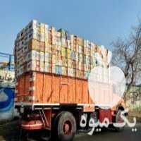 آگهی مشابه خرید و فروش کارتن موزی کلی و جزئی در مشهد در گروه خرید فروش انواع بسته بندی کاغذی - کارتن مقوا در یکمیوه