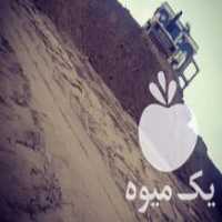 آگهی مشابه فروش بولدوزر آماده به کار در شبستر در گروه خرید فروش ابزار ها و تجهیزات کشاورزی - دستی برقی ماشینی بیل کلنگ در یکمیوه