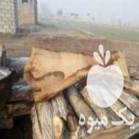 آگهی مشابه فروش چوب گردو عرض 25 تا50 بسیارتمیز در اصفهان در گروه خرید فروش عمده چوب- زغال چوب گردو تبریزی خام در یکمیوه