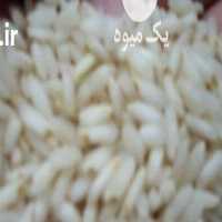 آگهی مشابه فروش برنج سبز چمپا شوشتر   در خوزستان در گروه خرید فروش عمده برنج - نیم دانه عنبر بو هاشمی کاظمی هندی پاکستانی در یکمیوه