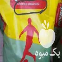 آگهی مشابه فروش بذر چمن green line المان وخاک کوکوپیت سریلانکا در ماهدشت در گروه خرید فروش بذر - انواع محصول کشاورزی گوجه کتان میوه درخت در یکمیوه