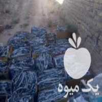 آگهی مشابه فروش زغال سفید پسته در رفسنجان در گروه خرید فروش عمده چوب- زغال چوب گردو تبریزی خام در یکمیوه