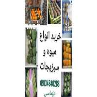 آگهی مشابه خرید و فروش انواع میوه و سبزیجات لوکس صادراتی در اصفهان در گروه خرید فروش عمده پرتقال - پرتقال رسمی تامسون خونی جنوب در یکمیوه
