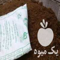 آگهی مشابه فروش کود باغچه ایی در آمل در گروه خوراک دام و طیور - پرواری شیری علوفه یونجه در یکمیوه