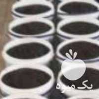آگهی مشابه فروش رب انار شیره انگور در شیراز در گروه انواع رب - گوجه انار نارنج خانگی سیب عمده در یکمیوه