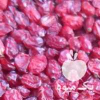 آگهی مشابه فروش زرشک تازه در لاهیجان در گروه خرید فروش عمده ازگیل و تمشک و زرشک - ژاپنی فروش مستقیم در یکمیوه