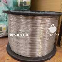 آگهی مشابه فروش سیم پلی استر در تهران در گروه خرید فروش عمده انواع گل - پروش قاشقی موسی ساکولنت بن سای در یکمیوه