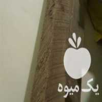 آگهی مشابه فروش الوار چوب نراد روسی روغنی 2 عدد در ساری در گروه خرید فروش عمده چوب- زغال چوب گردو تبریزی خام در یکمیوه