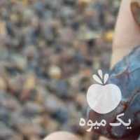 آگهی مشابه فروش خرما در تهران در گروه انواع رب - گوجه انار نارنج خانگی سیب عمده در یکمیوه