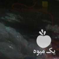 آگهی مشابه فروش ضایعات خرما قصب خرما کارتن در بوشهر در گروه عسل شیره و فرآورده ی مربا - طبیعی گون کوهی آویشن در یکمیوه