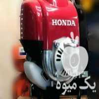 آگهی مشابه فروش علفتراش هوندا در تهران در گروه خرید فروش ابزار ها و تجهیزات کشاورزی - دستی برقی ماشینی بیل کلنگ در یکمیوه