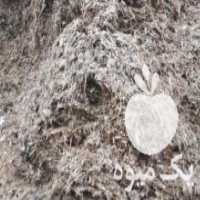 آگهی مشابه فروش ذرت علوفه بسته بندی با کیفت در خاکعلی در گروه خرید فروش لوازم بسته بندی - انواع تجهیزات در یکمیوه