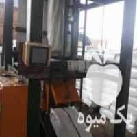آگهی مشابه فروش ذرت بسته بندی شده وکیوم با بهترین دستگاه ترکیه ای در خاکعلی در گروه خوراک دام و طیور - پرواری شیری علوفه یونجه در یکمیوه