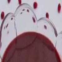 آگهی مشابه فروش فروش رب انار خانگی   در اصفهان در گروه انواع رب - گوجه انار نارنج خانگی سیب عمده در یکمیوه