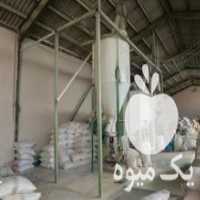 آگهی مشابه فروش انواع کنسانتره های دامی گاو و گوسفند در خرم آباد در گروه گاو و گوسفند و میش و بز کهره گوساله سمینتال در یکمیوه