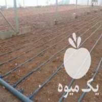 آگهی مشابه فروش رول آبیاری در کلات در گروه خرید فروش اتصالات و تجهیزات آبیاری - شیر لوله نوار در یکمیوه