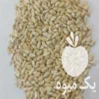 آگهی مشابه فروش هسته انار خشک صادراتی روغنی لواشکی دامی در تهران در گروه فرآورده های آلو و آلوچه - بخارا خورشتی مسما خشک در یکمیوه