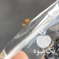 آگهی مشابه فروش چای بهاره 99 در تهران در گروه خرید فروش عمده چای - سبز ترش کوهی سیاه در یکمیوه