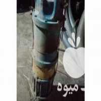 آگهی مشابه فروش شناورتک فاز 2 اینچ60متری صفر در بیجار در گروه خرید فروش سایر محصولات تجهیزات کشاورزی در یکمیوه