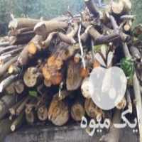آگهی مشابه خرید چوب آلات باغی در شیرگاه در گروه خرید فروش عمده چوب- زغال چوب گردو تبریزی خام در یکمیوه