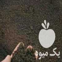 آگهی مشابه فروش ورمی کمپوست غنی شده ضد قارچ عمده فله 900 تومان کرم فریز و خشک در آذرشهر در گروه خرید فروش عمده قارچ - دکمه ای خوراکی دارویی پرورشی کوهی در یکمیوه