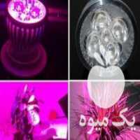 آگهی مشابه فروش نور led رشد گیاه در تهران در گروه خرید فروش سایر محصولات تجهیزات کشاورزی در یکمیوه