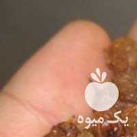 آگهی مشابه فروش کشمش تیزابی طلایی در تهران در گروه آجیل - فروش عمده محصولات در یکمیوه