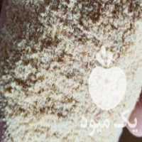 آگهی مشابه فروش ارد گندم پخته شده در آذرشهر در گروه خرید فروش عمده گندم و جو - بلغور شیرازی فروش عمده محصول کشاورزی در یکمیوه