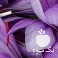 آگهی مشابه فروش گل زعفران  در مشهد در گروه خرید فروش عمده زعفران - قائنات قیمت خراسان بهرامن گرم در یکمیوه
