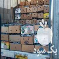 آگهی مشابه فروش زغال پسته سیاه و سفید در تهران در گروه خرید فروش عمده چوب- زغال چوب گردو تبریزی خام در یکمیوه