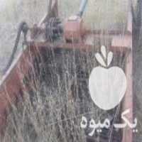 آگهی مشابه فروش ادوات کشاورزی سیب زمینی کار و سیب زمینی کن و سرزن در قیدار در گروه خرید فروش ابزار ها و تجهیزات کشاورزی - دستی برقی ماشینی بیل کلنگ در یکمیوه