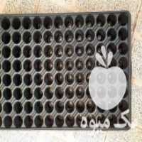 آگهی مشابه فروش سینی نشا 104 سلولی ترک در نظرآباد در گروه خرید فروش نشا - انواع گوجه برنج کاهو پیاز کاری فرنگی در یکمیوه