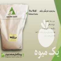 آگهی مشابه فروش بذر بذر بذر در تهران در گروه خرید فروش بذر - انواع محصول کشاورزی گوجه کتان میوه درخت در یکمیوه