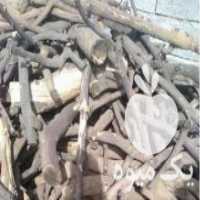 آگهی مشابه فروش نمایندگی پخش مستقیم چوب مرکبات و چوب زیتون در شیراز در گروه خرید فروش عمده چوب- زغال چوب گردو تبریزی خام در یکمیوه