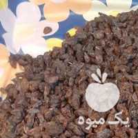 آگهی مشابه فروش مویز و کشمش در شیراز در گروه آجیل - فروش عمده محصولات در یکمیوه